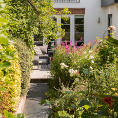 A small garden in full bloom.