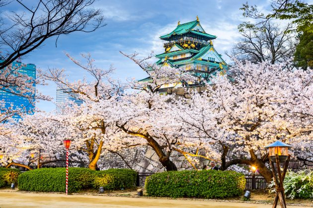 The big trip 2020: why now is the best time to visit Japan