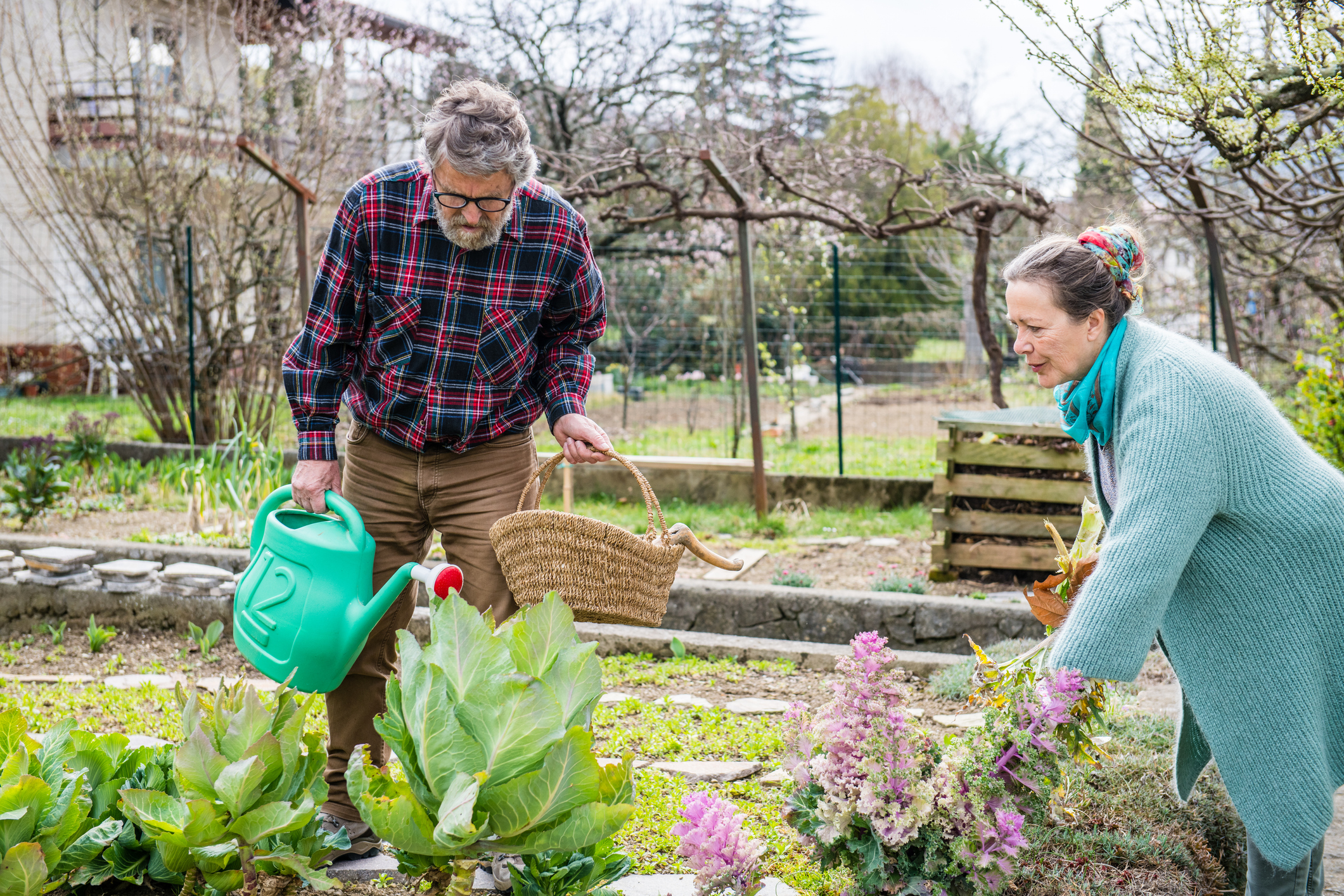 Older couple gardening