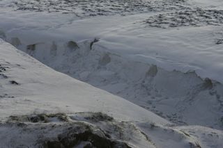 Several exploratory bear dens dug on Howe Island, Prudhoe Bay in 2009.
