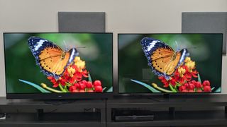 Panasonic MZ1500 and Philips OLED809 showing butterfly on screen 