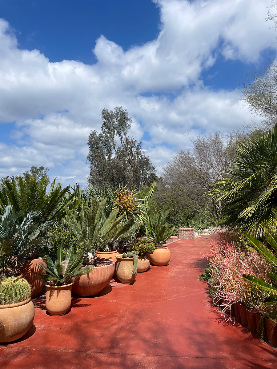 The grounds and products at Flamingo Estate.