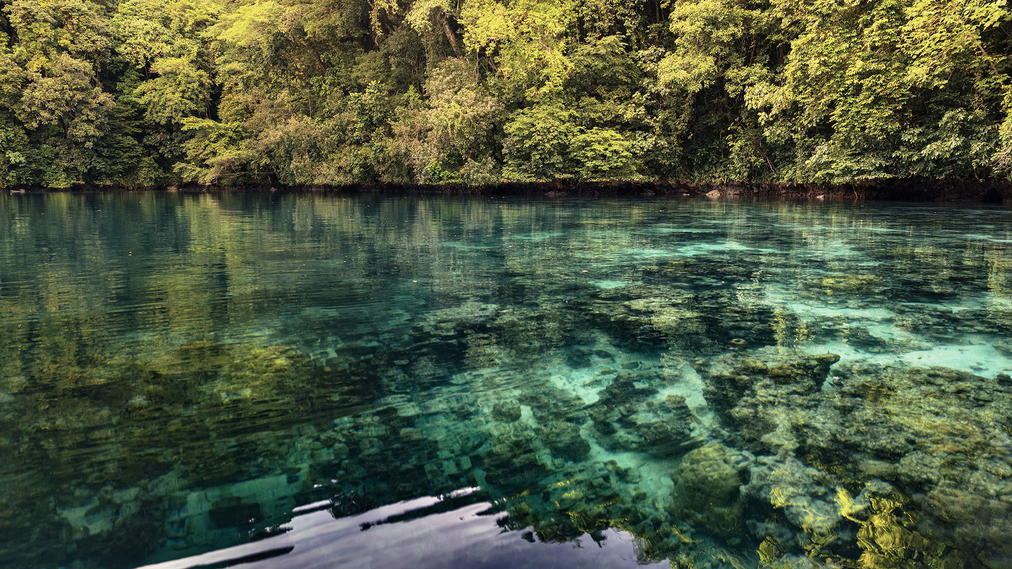 Clear waters revealing the reef just below the surface