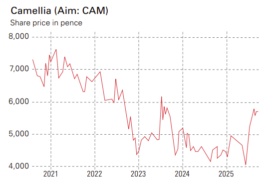 Camellia share price