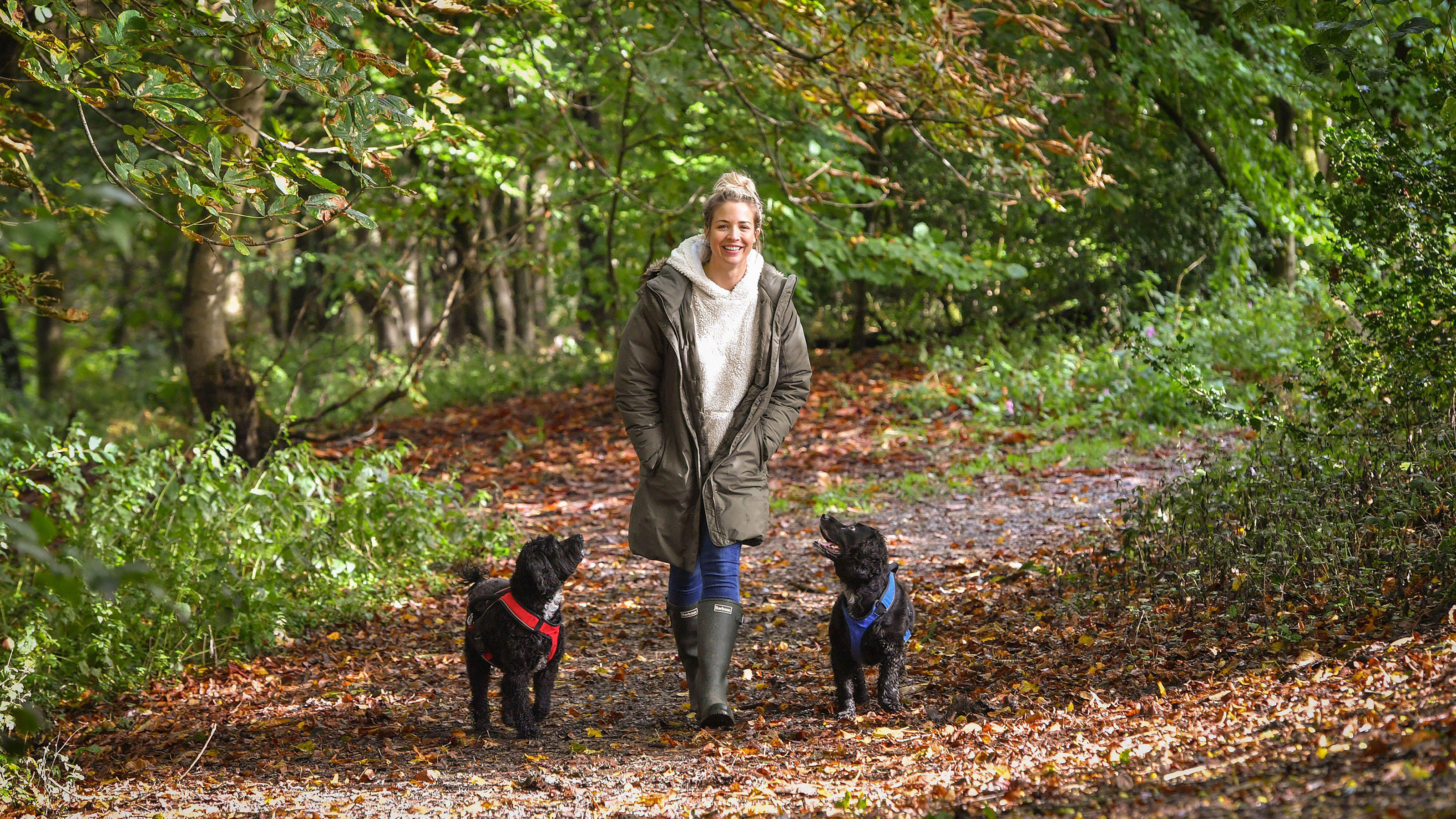 Gemma Atkinson walks her dogs Sproodle Norman (left) and Cocker Spaniel Ollie in Old Kay&#039;s Park, in Bury alamy rm 2D8XPGP