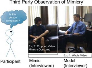 mirroring experiment