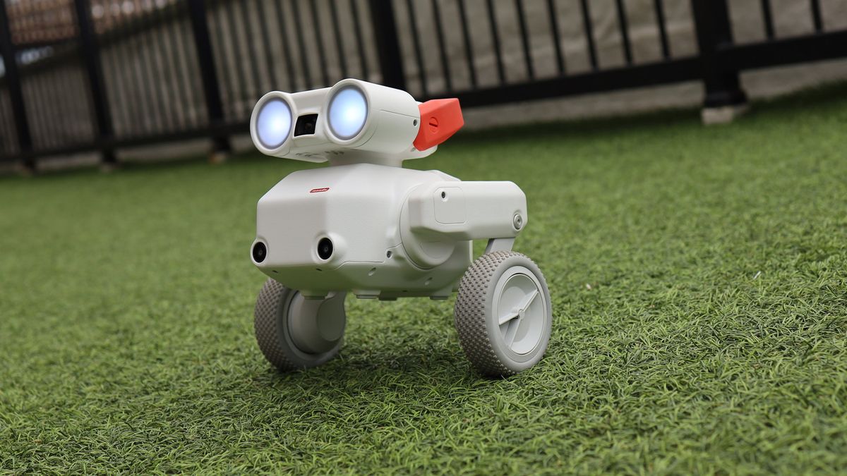 'It's like a ground drone': I tested a cute little robot called Beni that follows and films you