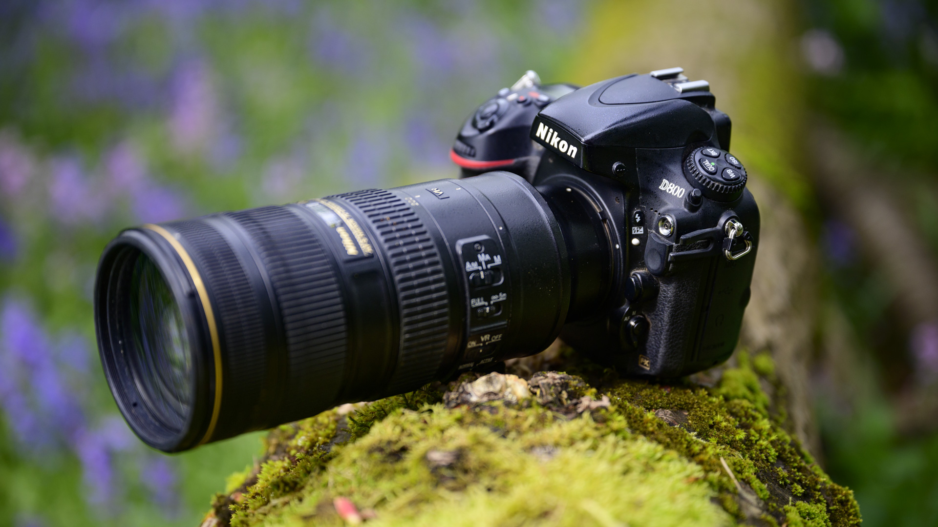Nikon D800 DSLR camera on tree trunk surrounded by bluebells