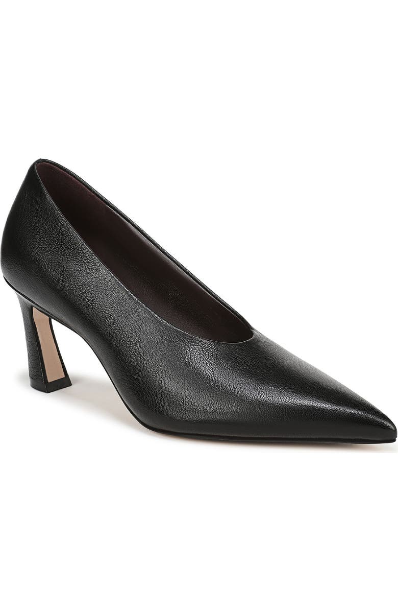 Emery Pointed Toe Pump