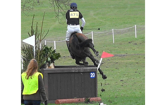 William Fox-Pitt fall at Weston