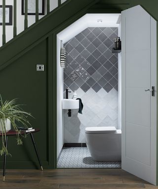 Downstairs store toilet ideas