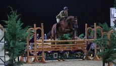 2024 HOYS working hunter pony classes