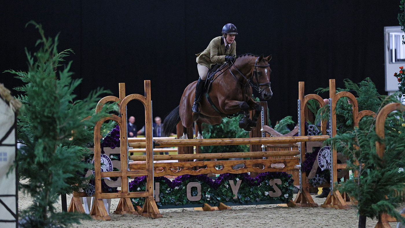 2024 HOYS working hunter pony classes