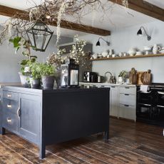 large black kitchen island with houseplants on surface and branches suspended from ceiling above