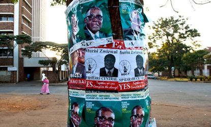 Pro-Mugabe fliers