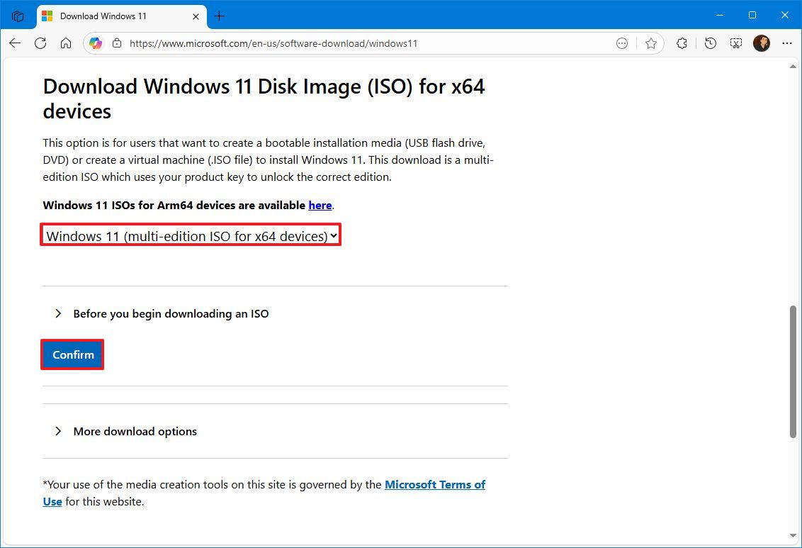 Windows 11 download ISO file
