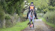 Introducing your horse to traffic: always wear hi vis to take a horse on the road