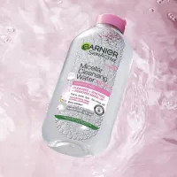 39. Garnier SkinActive Micellar Water 100ml