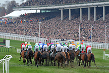 Cheltenham-racing2.jpg