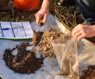 Scientist uses trowel to place soil sample in plastic bag in field laboratory