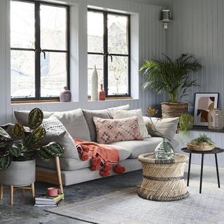 living area with white wall and grey sofa and plants pot