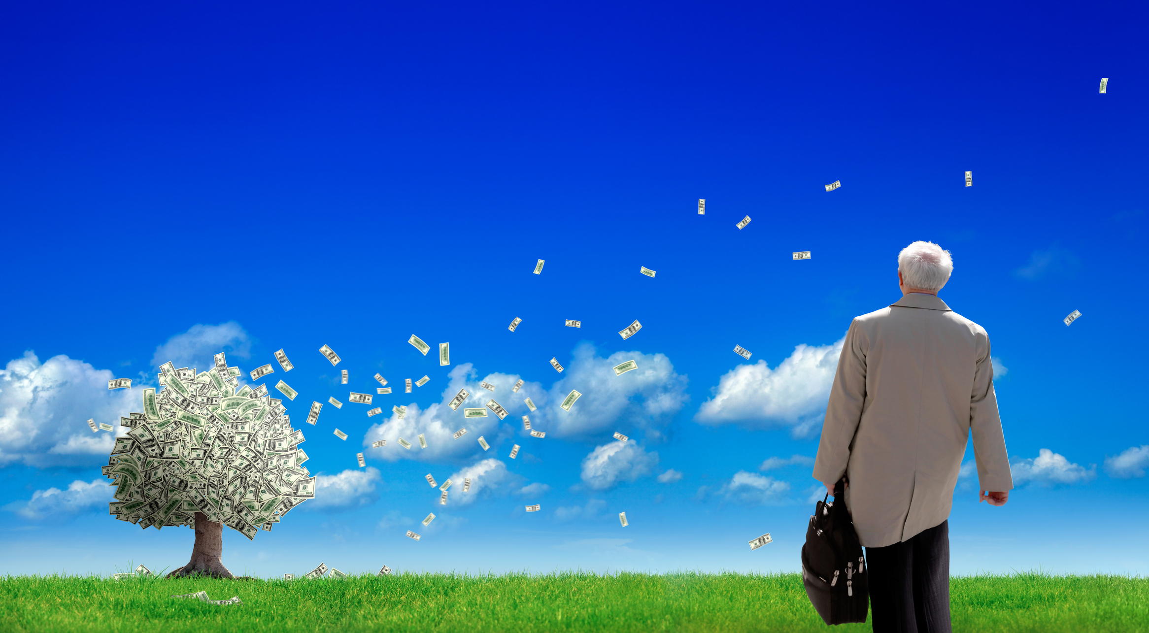 Conceptual image of an older businessman holding briefcase on green landscape and money tree with flying money over clear sky.