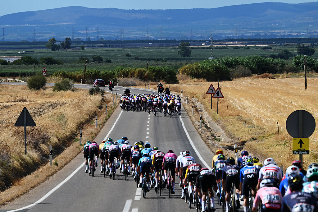 A general view of the peloton competing in echelons formation due to the cross wind during the La Vuelta - 81st Tour of Spain 202, Stage 17
