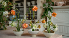 Floral design with peach and cream butterfly ranunculus in three ceramic bowls