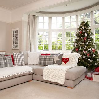 living room with sash window and christmas tree