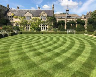 lawn with curved design by Andrew Wain