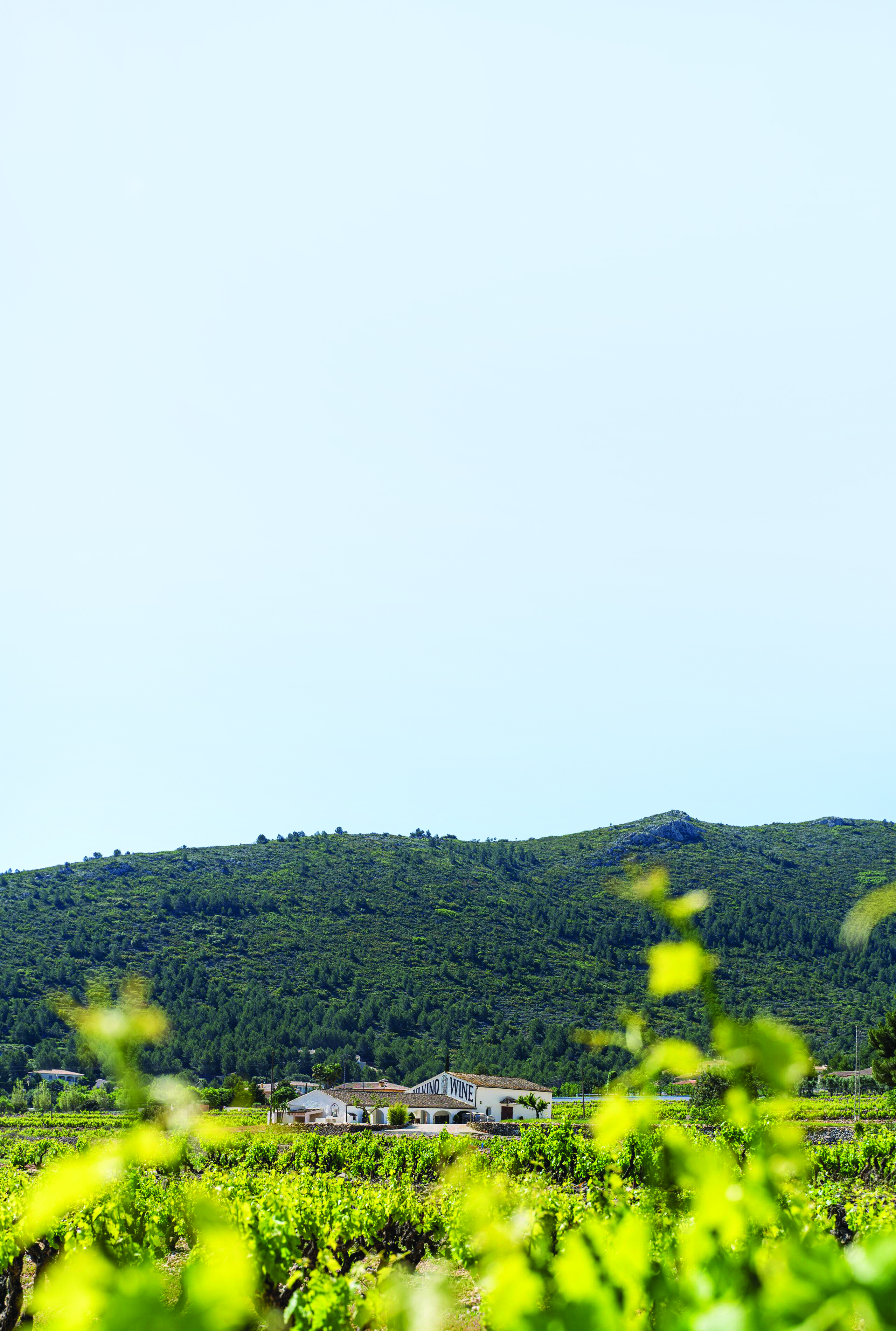 Finca de Abargues Alicante