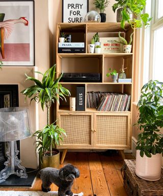 A living room with a wooden bookshelf with books on it and plants
