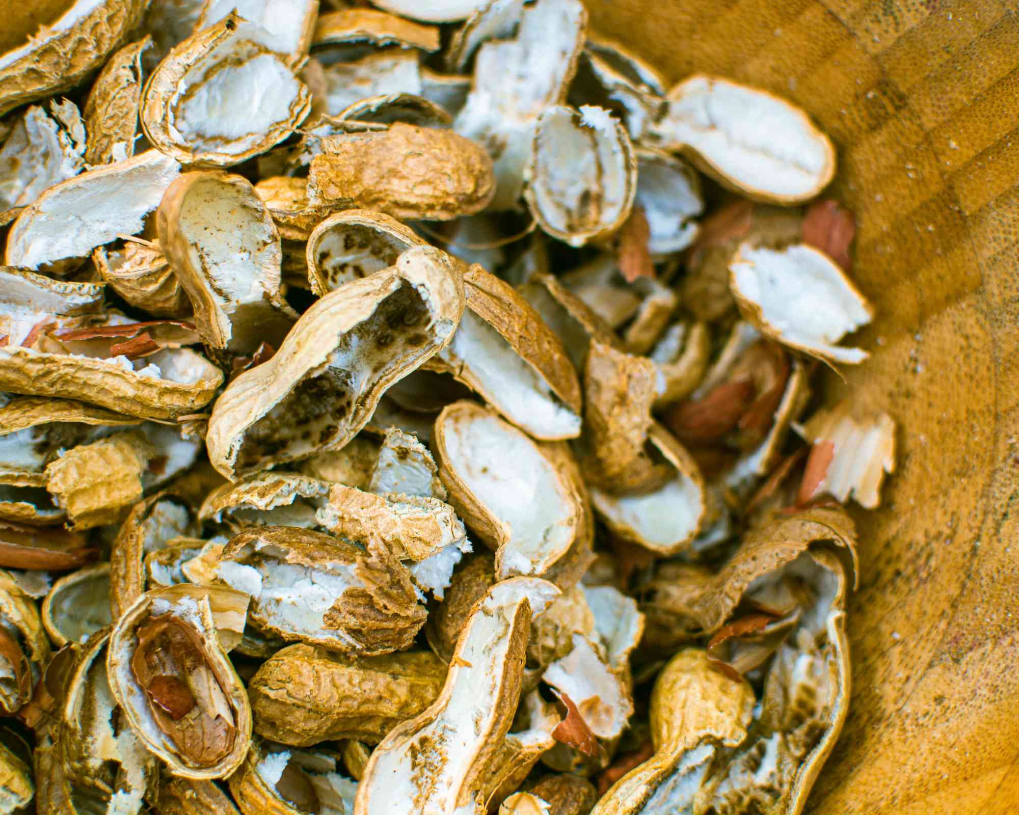 Peanut shells in container