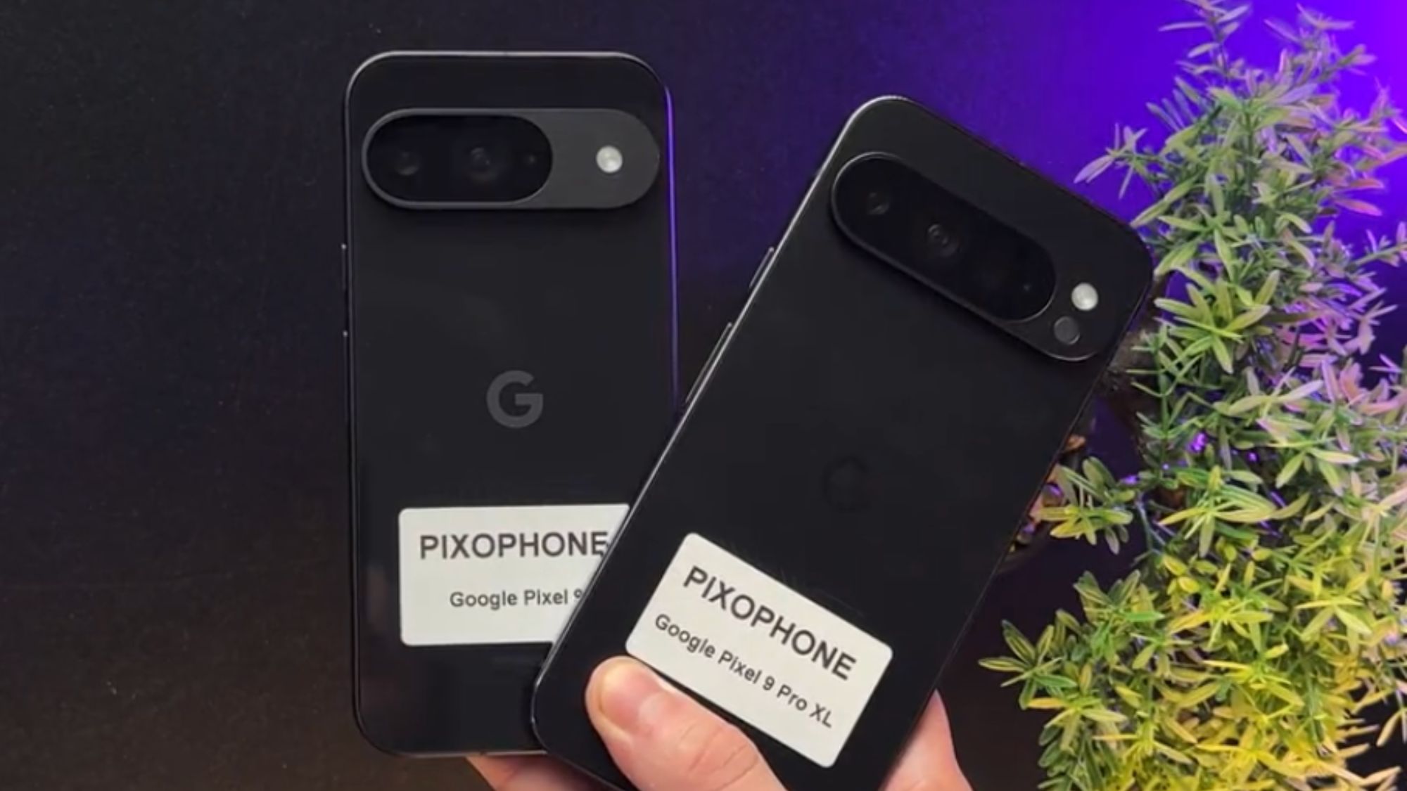 Google Pixel 9 Pro и 9 Pro XL полностью представлены в TikTok