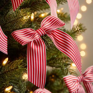 Cox & Cox Twelve Candy Striped Tree Bows