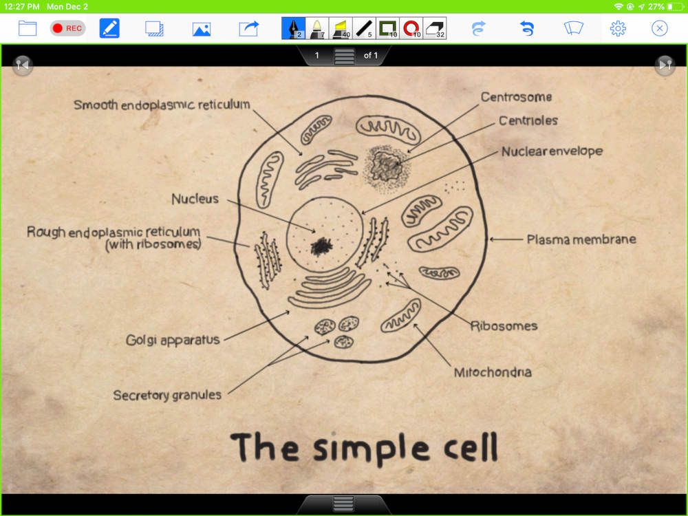 Screenshot of Doceri Interactive Whiteboard showing drawing of cell