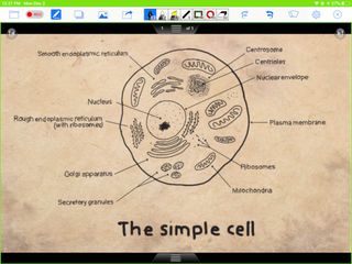 Screenshot of Doceri Interactive Whiteboard showing drawing of cell
