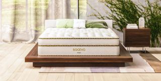 Saatva Classic mattress sales and deals image shows the Saatva Classic luxury innerspring hybrid mattress on a low wooden bedframe next to a green house plant