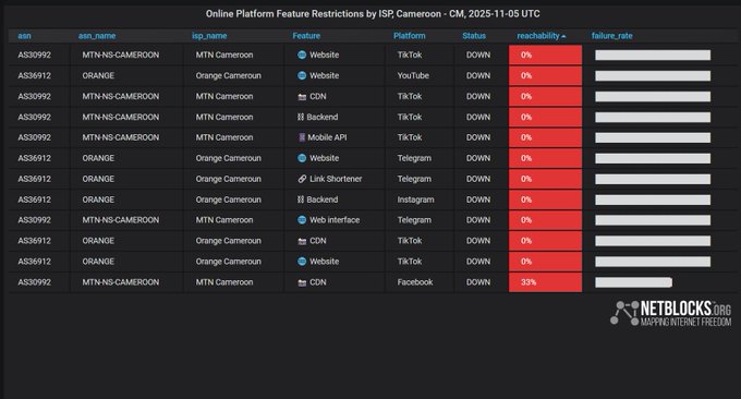 Netblocks graph showing social media platforms restricted in Cameroon on November 5, 2025