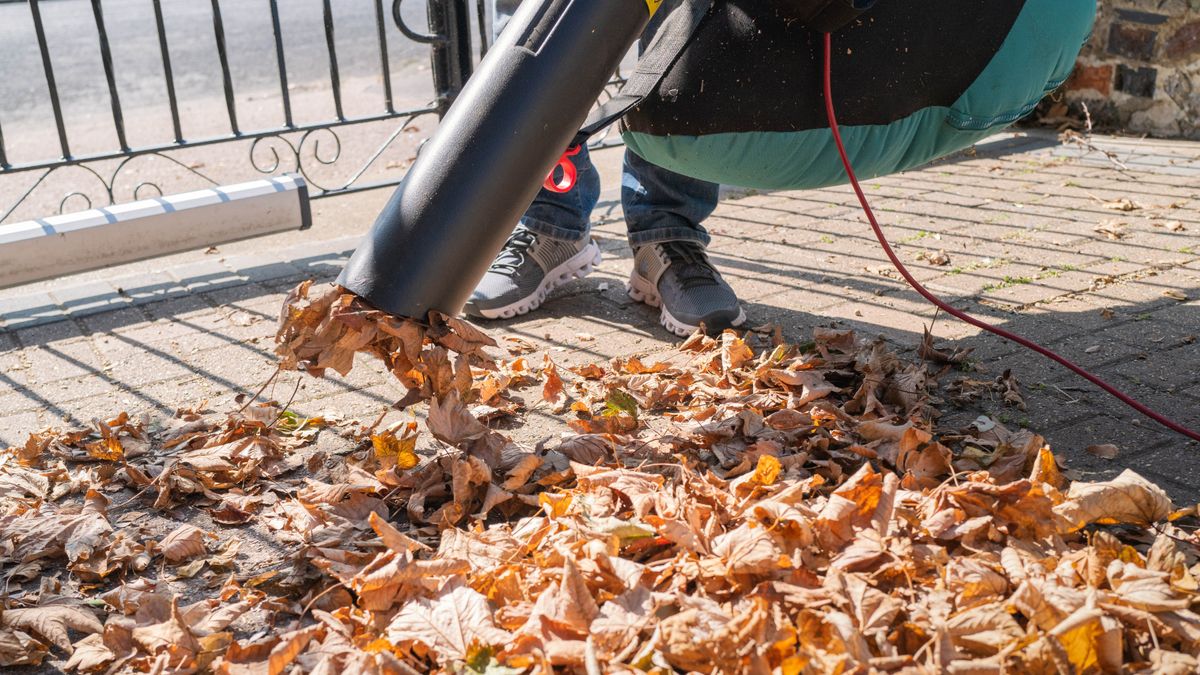 How to rake leaves the easy way — tips and tricks Tom's Guide