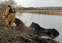 river-rescue.jpg