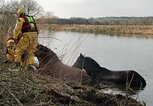 river-rescue.jpg