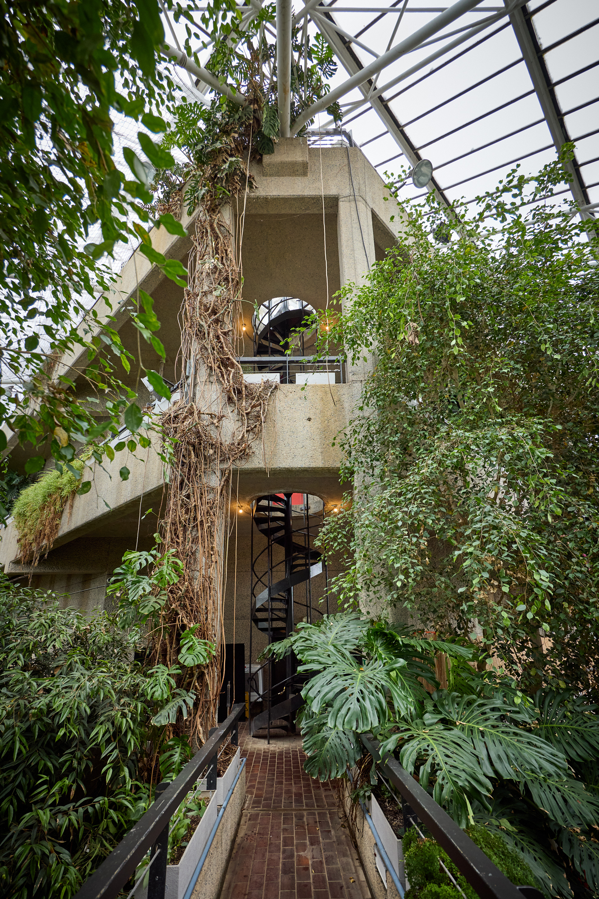 Barbican Conservatory to be redesigned by harris bugg studio
