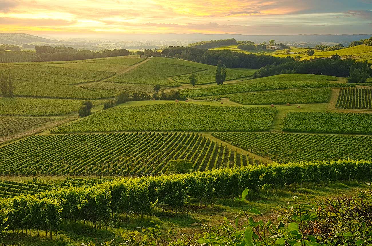 Bergerac travel