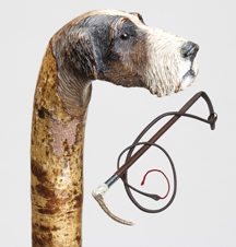 hound_cane.jpg