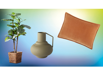 plant, vase, and pillow on a colorful background