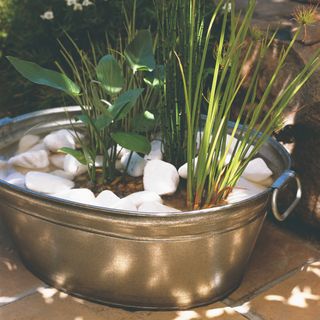 A metal tub made into a garden planter
