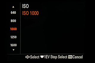 ISO Settings