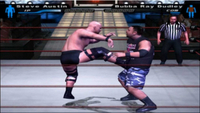   WWE Smackdown: Here Comes The Pain!