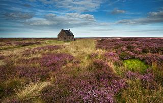 Trough House, Shooting Lodge above Fryupdale in the North York Moors.